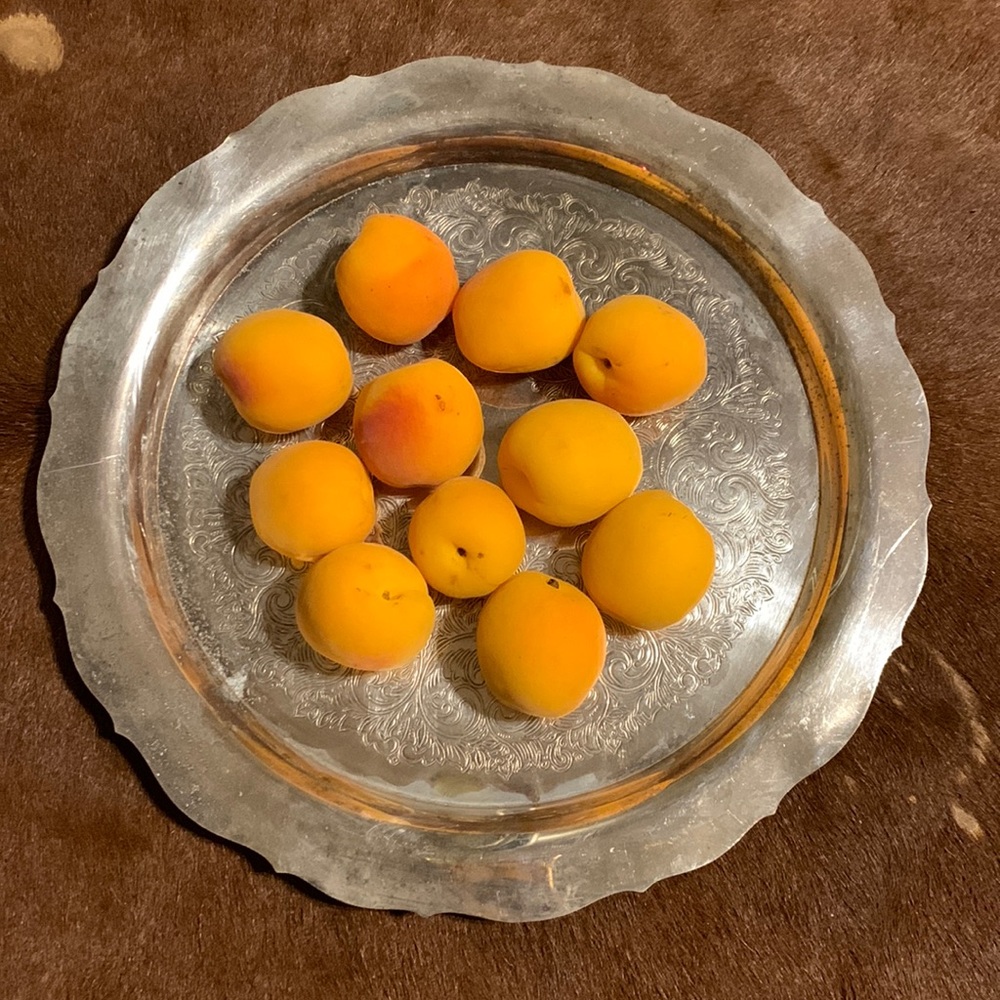 Antique Oneida Silversmiths Round silver plate Tray Floral Design